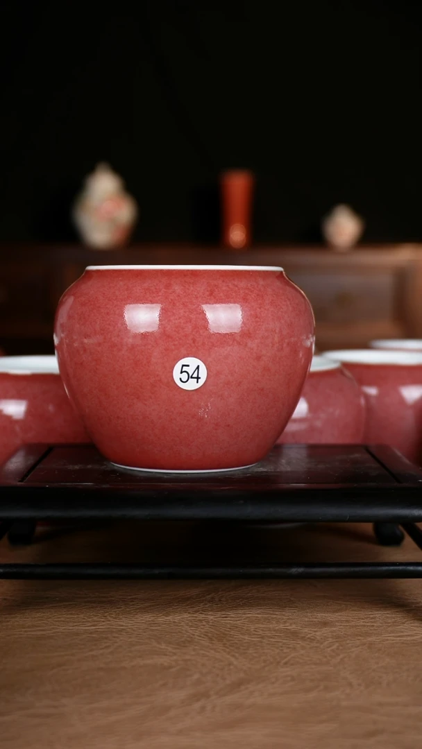 瓶豇豆红景德镇纯手工陶瓷