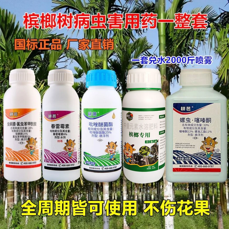槟榔树病虫害用药一整套芽腐烂心介壳虫炭疽叶斑螺虫噻嗪酮杀虫剂