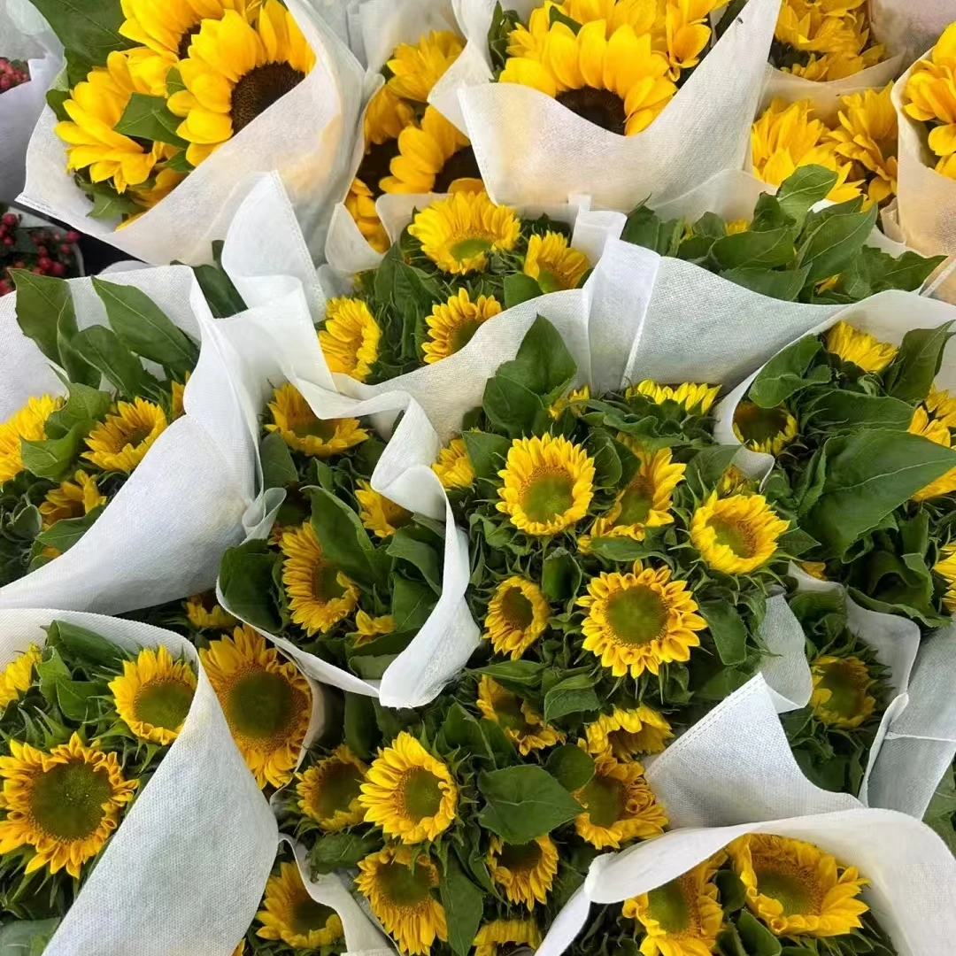 花鲜祉【向日葵】全场任意两单顺丰包邮今日下单明日送达太阳花鲜花云南基地直发带花苞发货水养