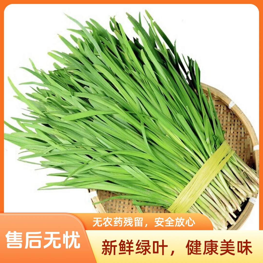 韭菜350g±50g~辽宁