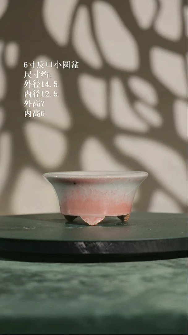 6寸反口小圆盆841