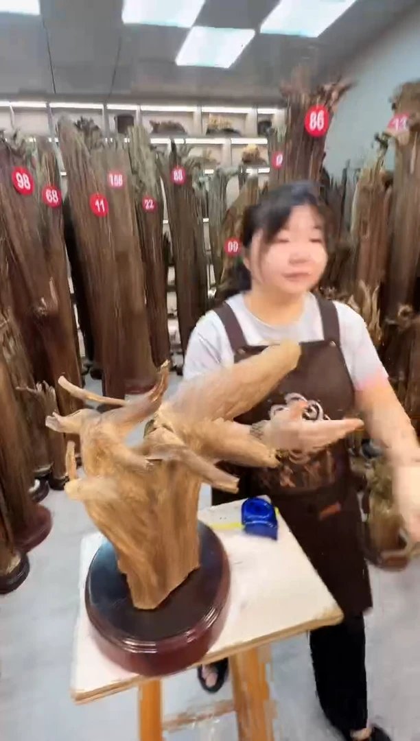 沉香碎屑沉香用****龙沉香原料摆件工艺品一百元以上带底座