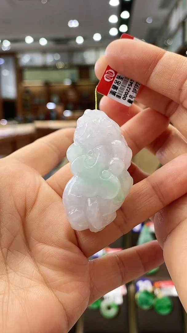 【闪购商品】翡翠颈饰未镶嵌貔貅