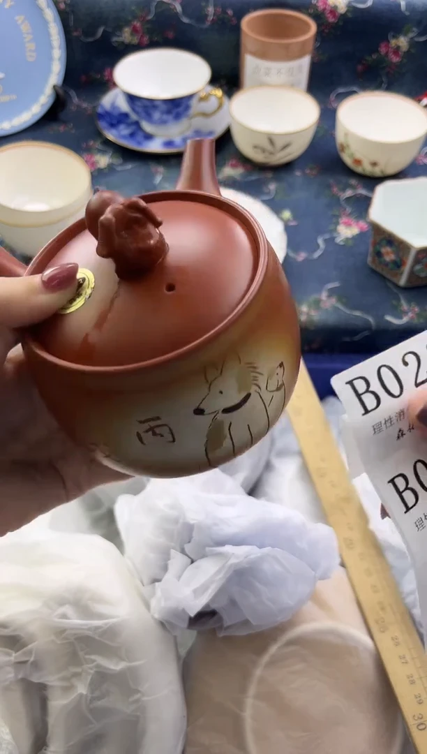 瓷片          B023