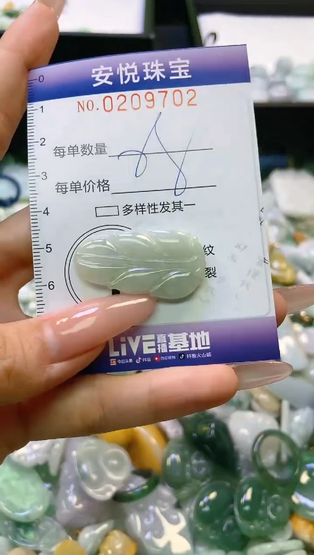 翡翠未镶嵌颈饰闪购0209702