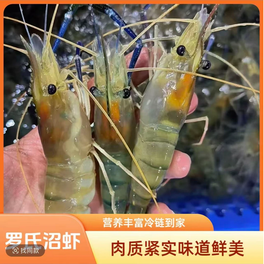 D1【拍三斤送一斤】罗氏虾淡水虾冷冻发货顺丰冷链到家