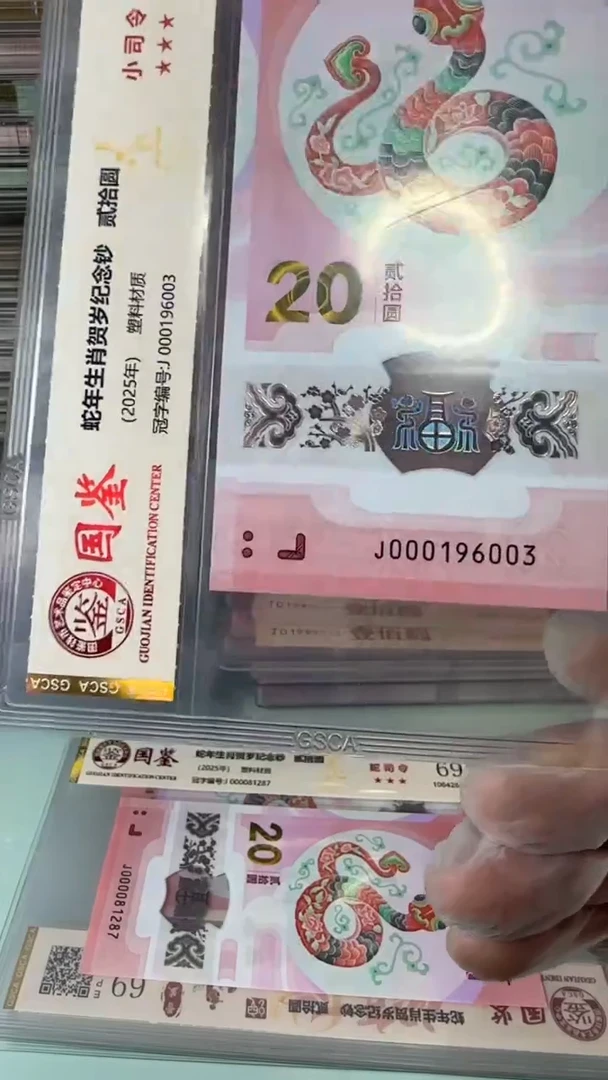 【闪购商品】塑料000196003-蛇钞单张！
