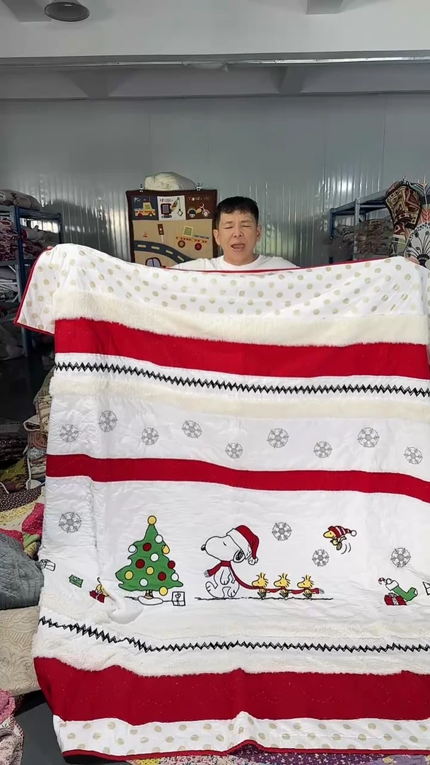 棉花220*220全棉手工被
