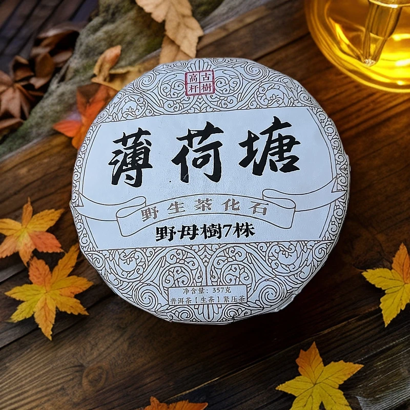 2018年薄荷塘野母树7株野生茶化石中普研究所普洱生饼357克M189号