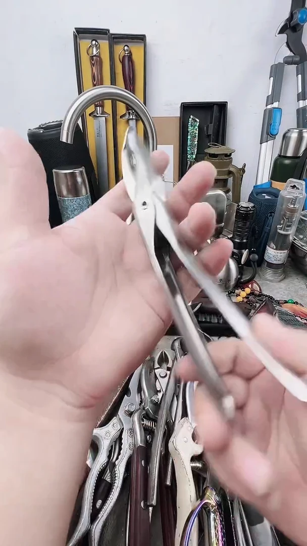 瓷片瓷片东京很热杂货正品保证