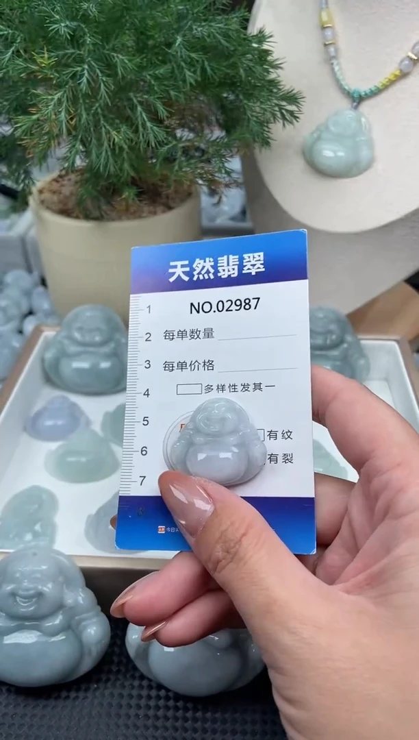 颈饰未镶嵌翡翠纯天然A货翡翠2987