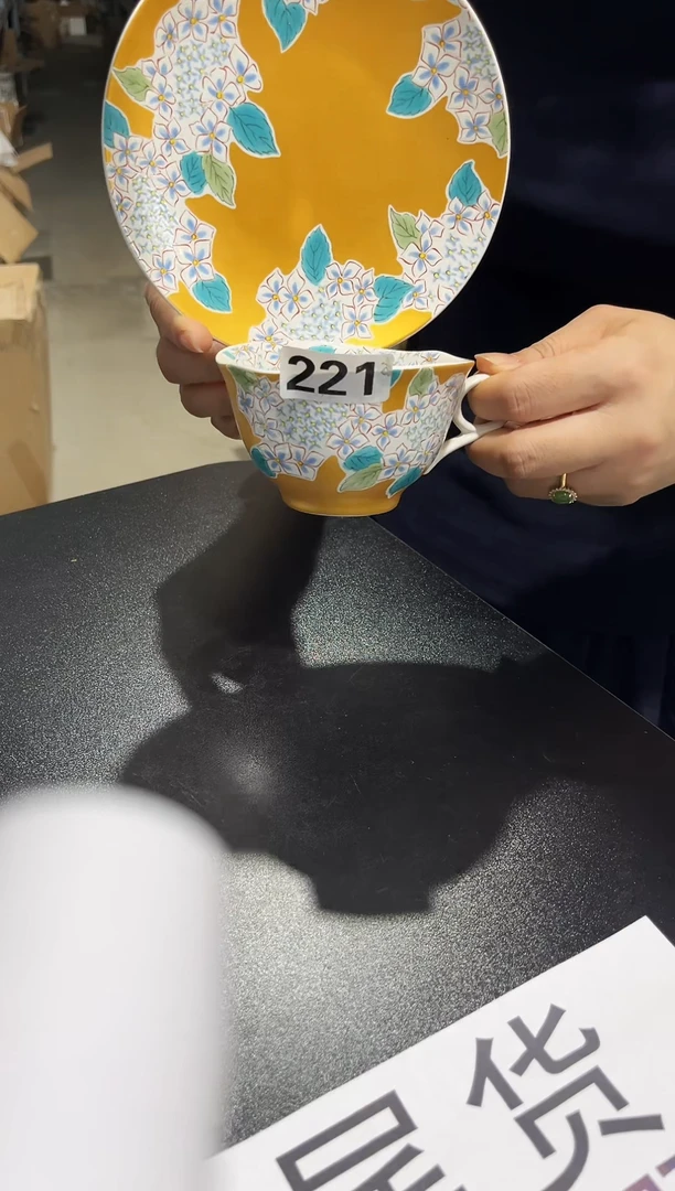 陶瓷陶瓷（简装）221