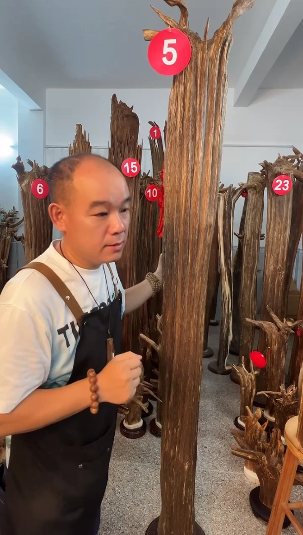 摆件沉香沉香原料6