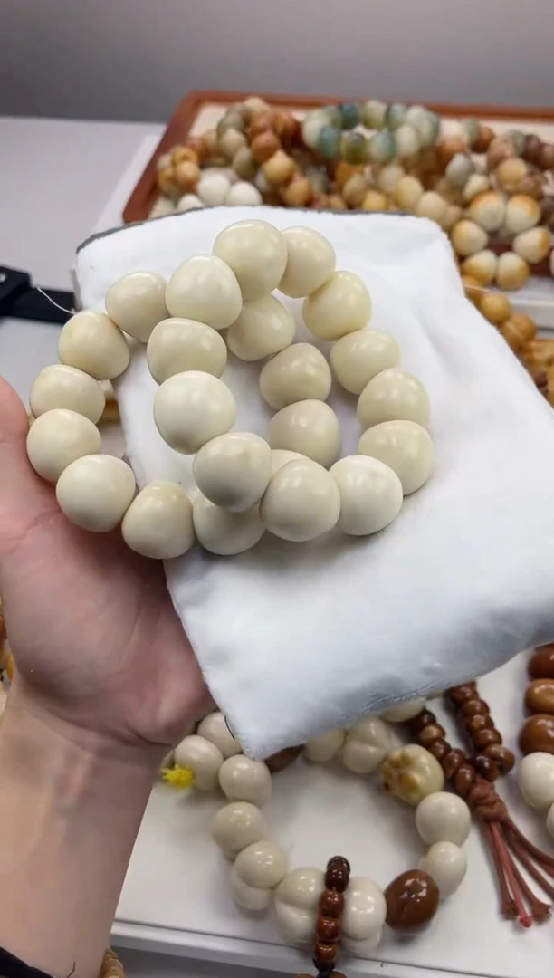 手串菩提根/象牙果象牙果瓷白蒜瓣20+瑕疵不补