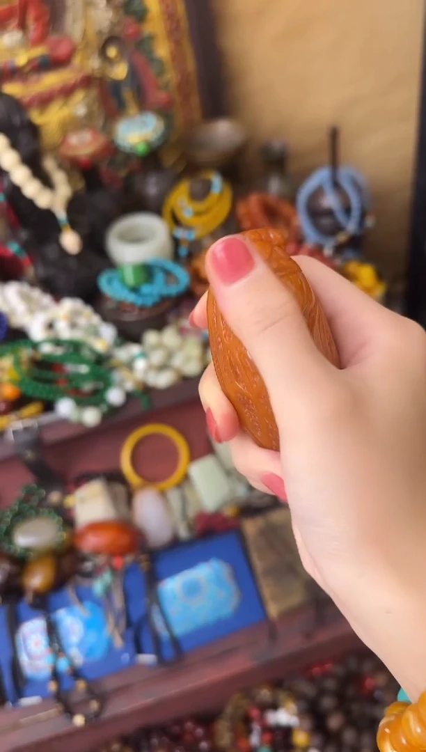 香榧木----开始了-----蝉