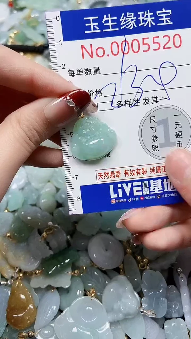 【闪购商品】翡翠颈饰未镶嵌闪购00005520