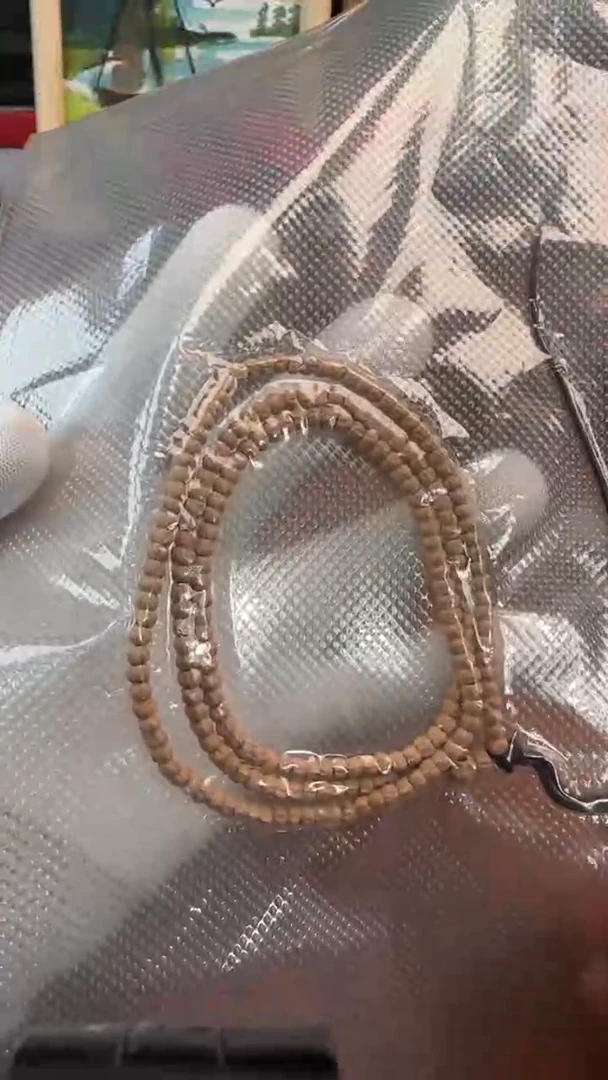 吊坠柏香籽/百香籽柏香籽药片