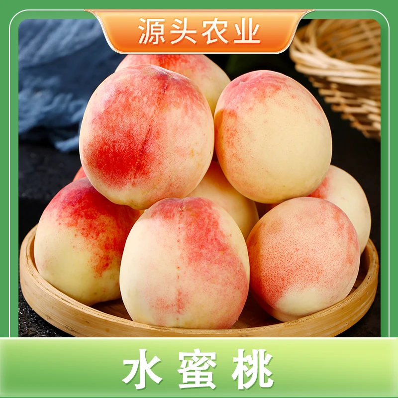 【水蜜桃】陕西水蜜桃新鲜水果当季时令水果4.5斤装 S