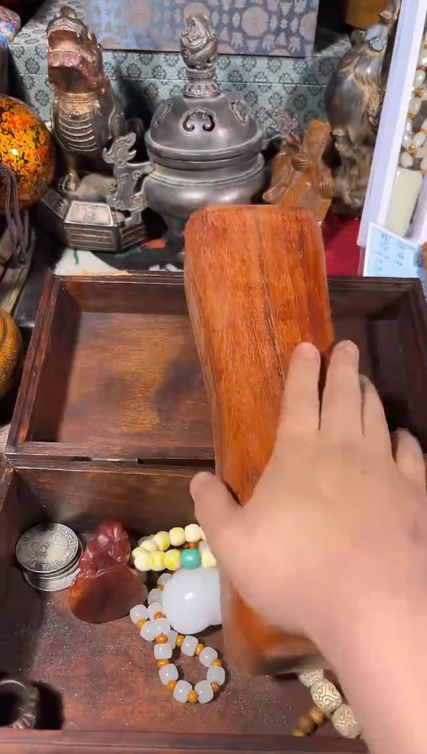 黄杨木11111111111111111111