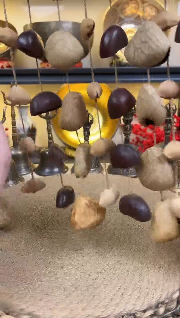 排铃果壳