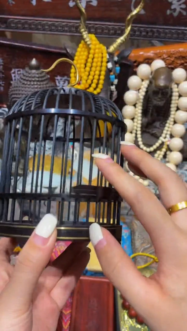 木慧心甄选直播推荐