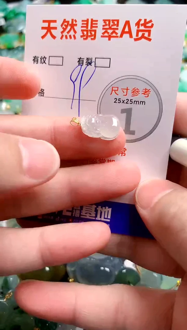 翡翠18K金镶嵌颈饰14004695