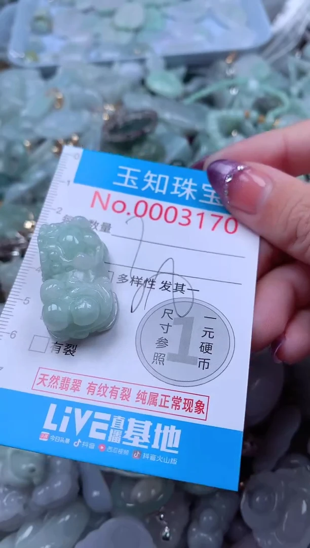 翡翠未镶嵌吊坠(不含链)3170