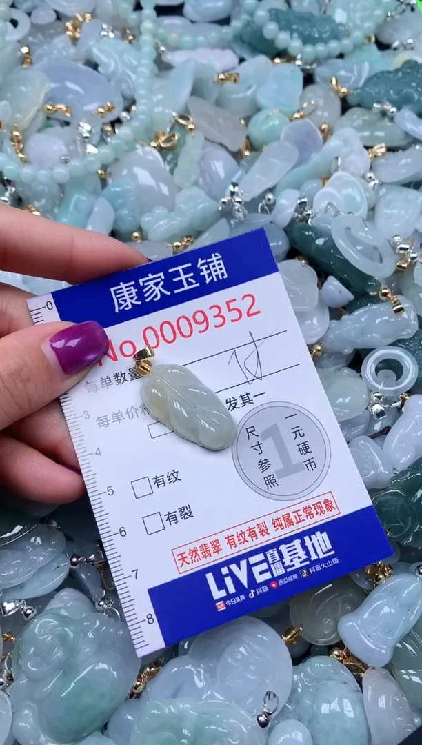 颈饰未镶嵌翡翠9352
