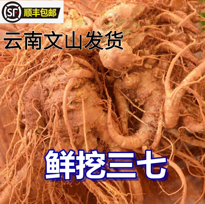 新鲜三七精选云南文山三七头带根须新鲜田七泡酒料活三七产地直发