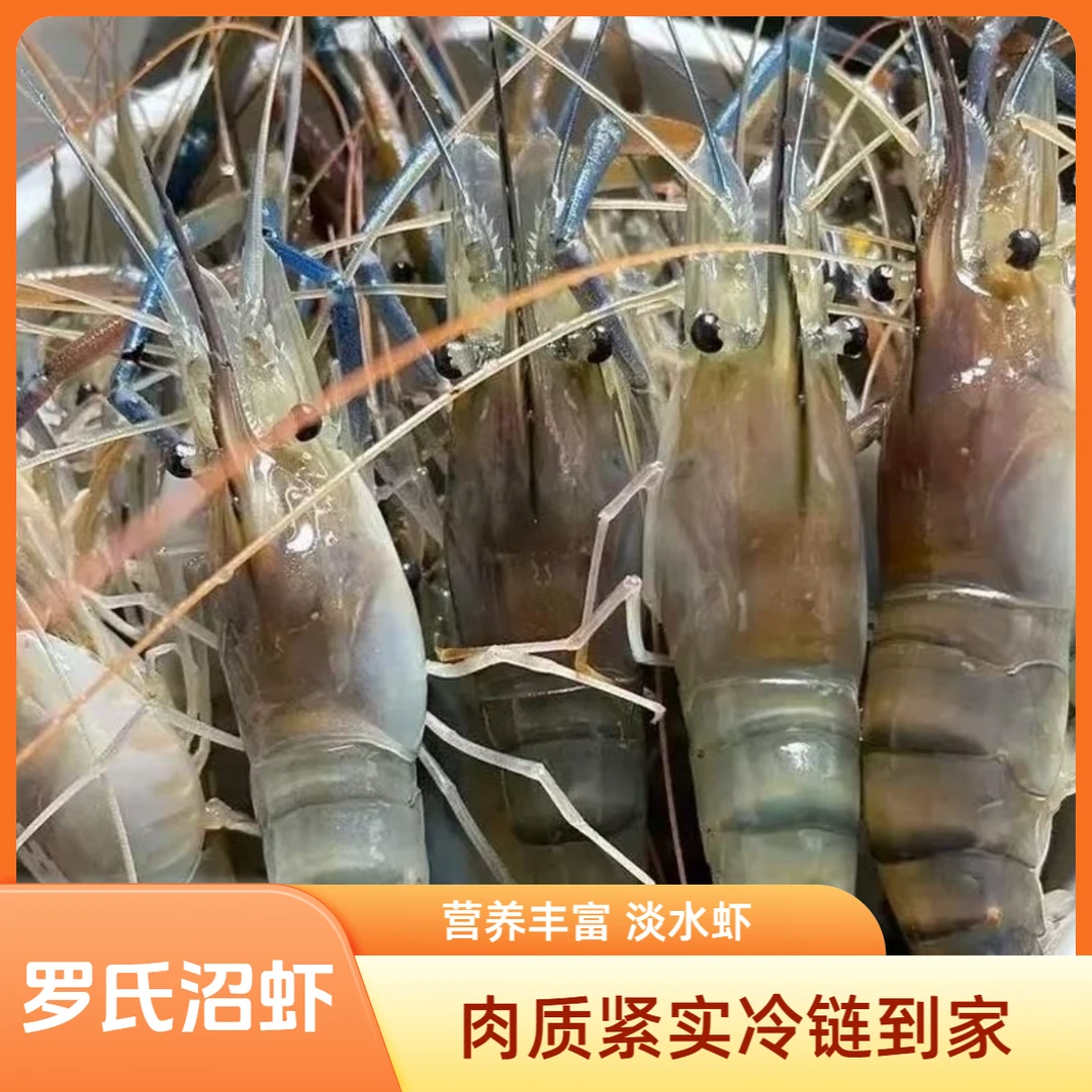 L1【拍三斤送一斤】鲜活速冻罗氏虾 淡水虾罗氏沼虾顺丰冷链包邮