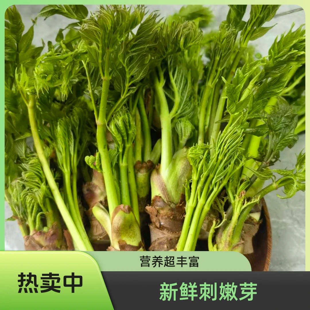 《刺嫩芽》东北野菜反季节带根现摘现发