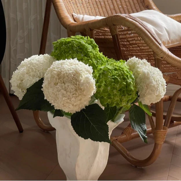 【今喜花舍】（重瓣）国绿+白雪公主绣球 一单顺丰冷链包邮