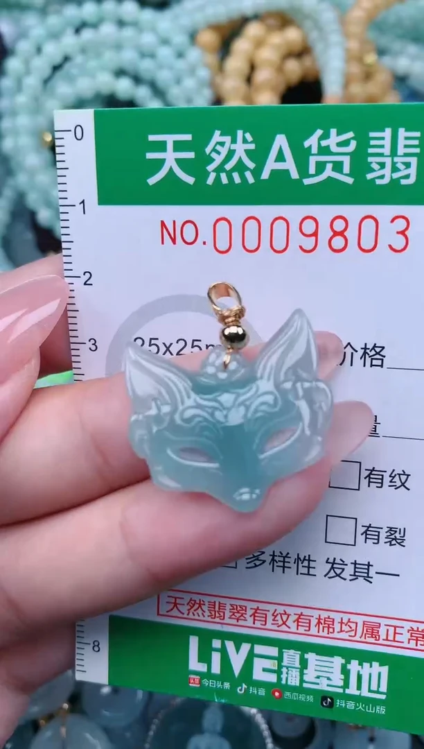 翡翠未镶嵌颈饰.0009803