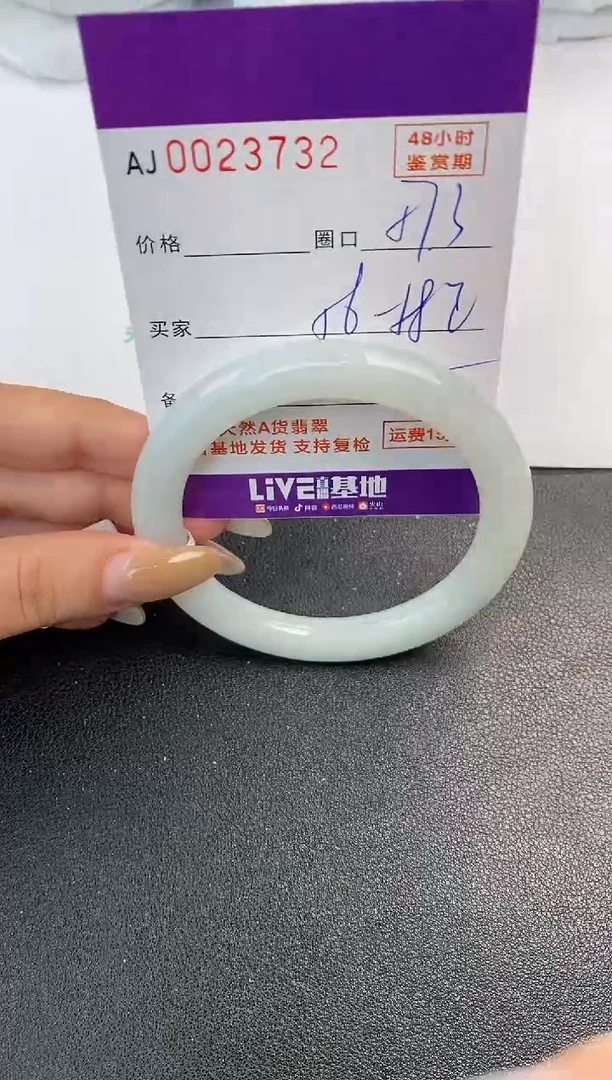 未镶嵌手镯翡翠天然A货翡翠