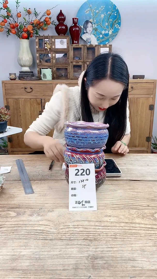 【闪购商品】红陶220