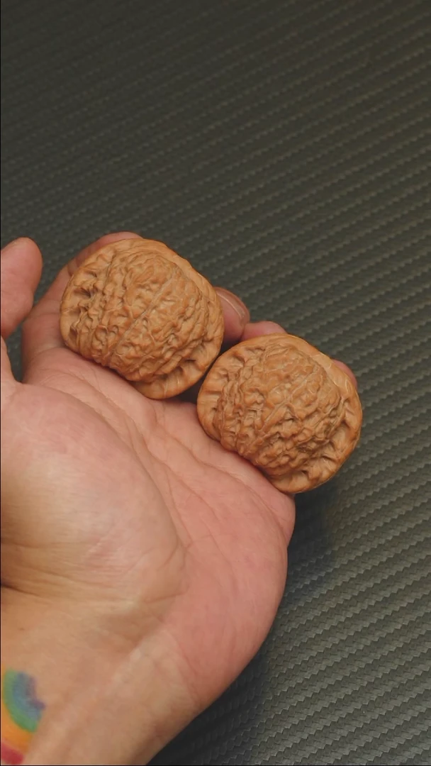 2025核桃季精品血麒麟43