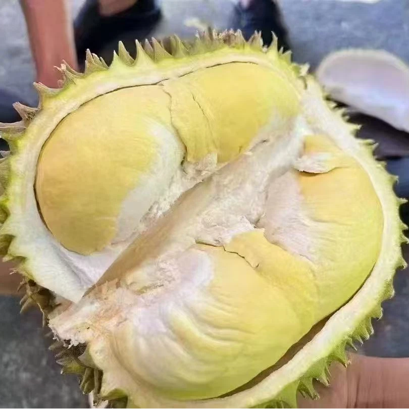 泰国金枕干包黄肉2斤鲜榴莲核小榴莲 榴莲同城配金枕泰国