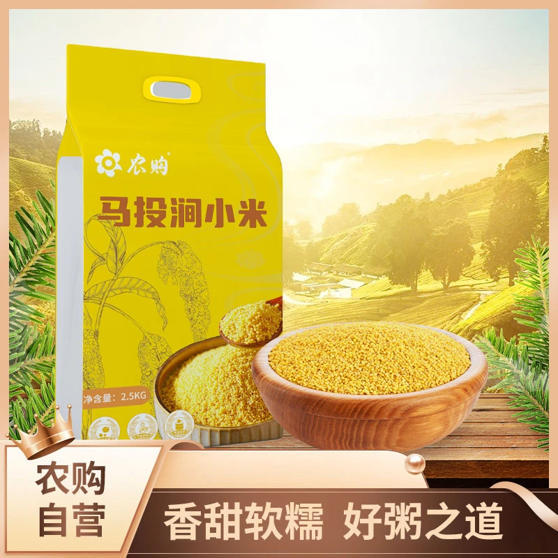 马投涧醇香黄小米新米营养丰富熬粥香糯适合月子食用
