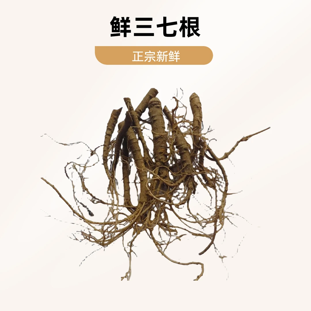 云南文山  新鲜三七根