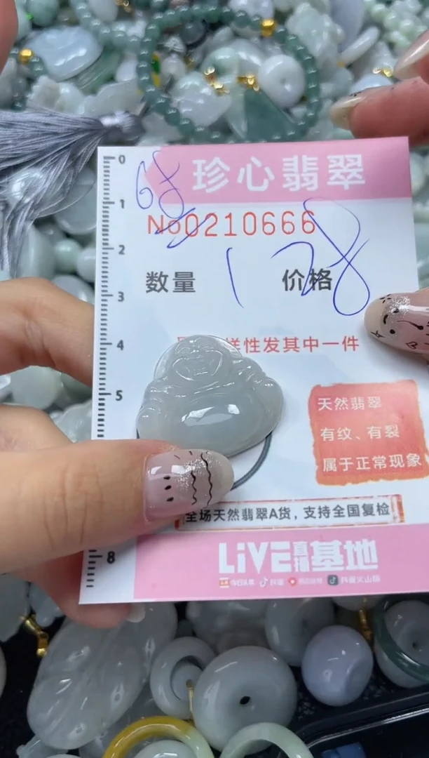 翡翠未镶嵌颈饰闪购0210666
