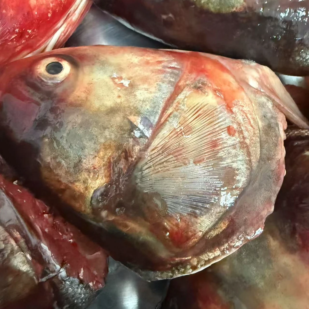 鱼头2个▶配葱姜◀