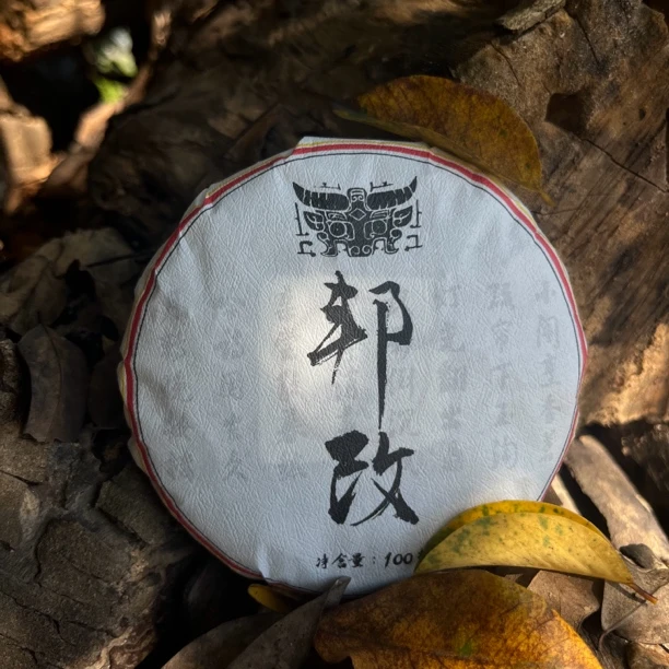 2023年邦改古树秋茶云南古树普洱生茶藤条饼茶100克纸包装