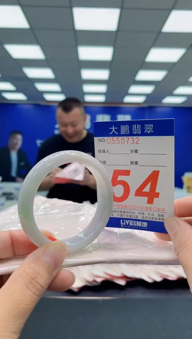 未镶嵌手镯翡翠AAAAAAAAA