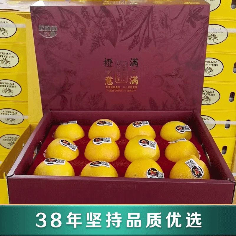笑哈哈诚意满满橙子礼盒  12颗装   高端水果礼盒