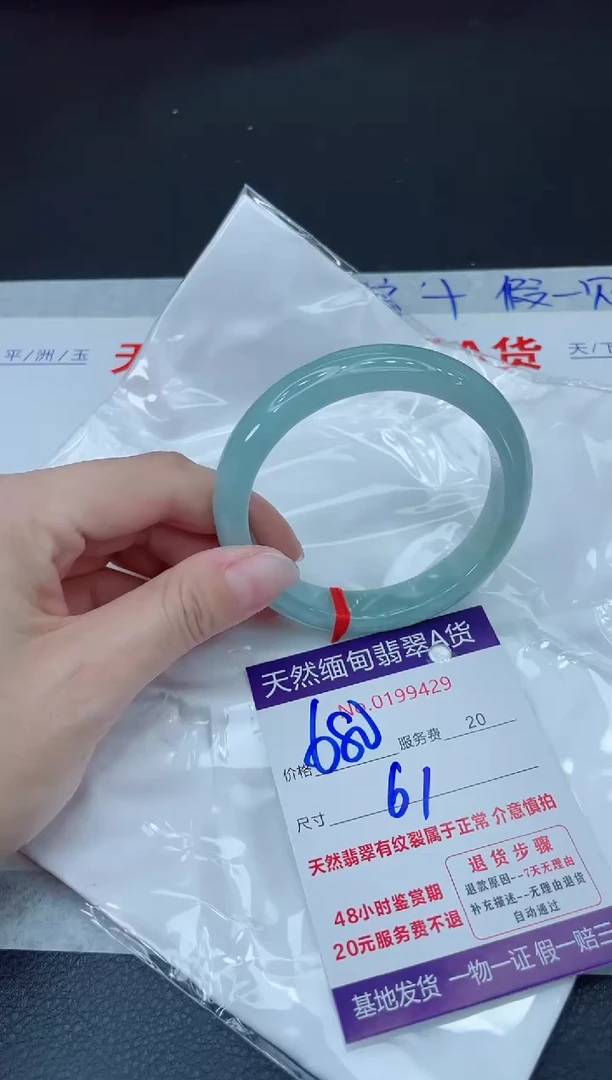 未镶嵌手镯翡翠680.000