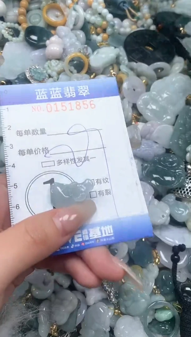 【闪购商品】翡翠颈饰未镶嵌闪购0151856