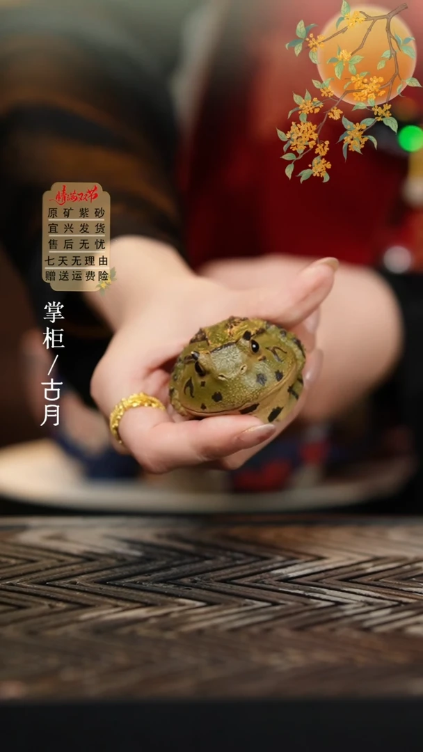 【古月壶来】LT987全手工“角蛙”茶宠