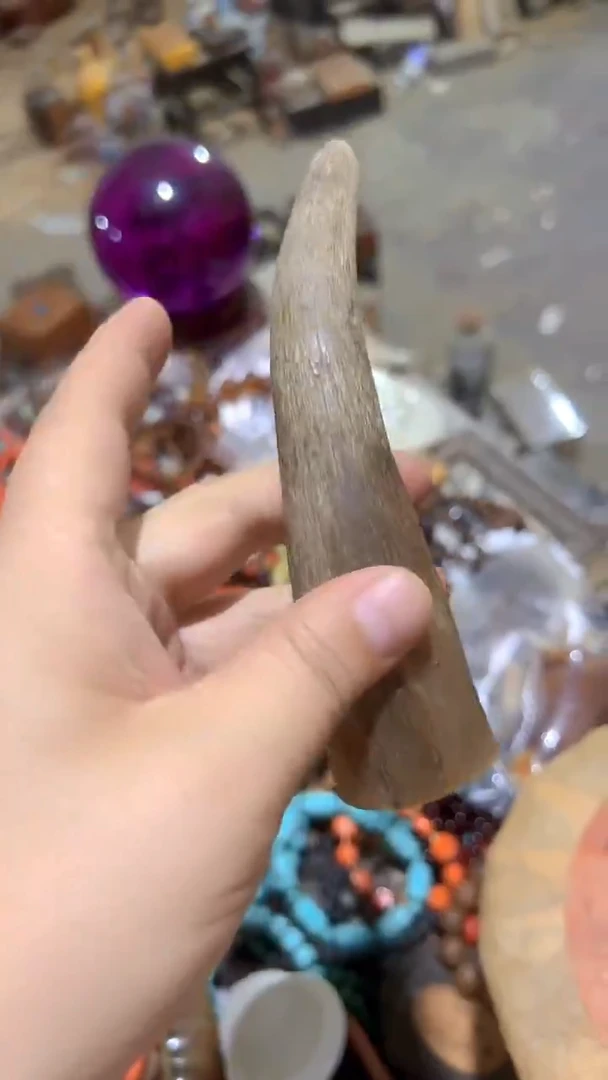 紫砂紫砂紫砂紫砂
