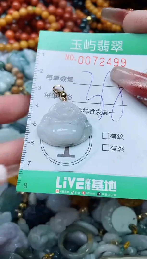 【闪购商品】翡翠颈饰未镶嵌闪购0072499