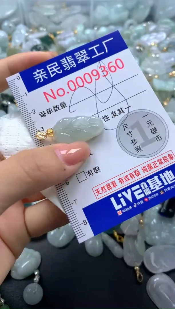 颈饰未镶嵌翡翠9360